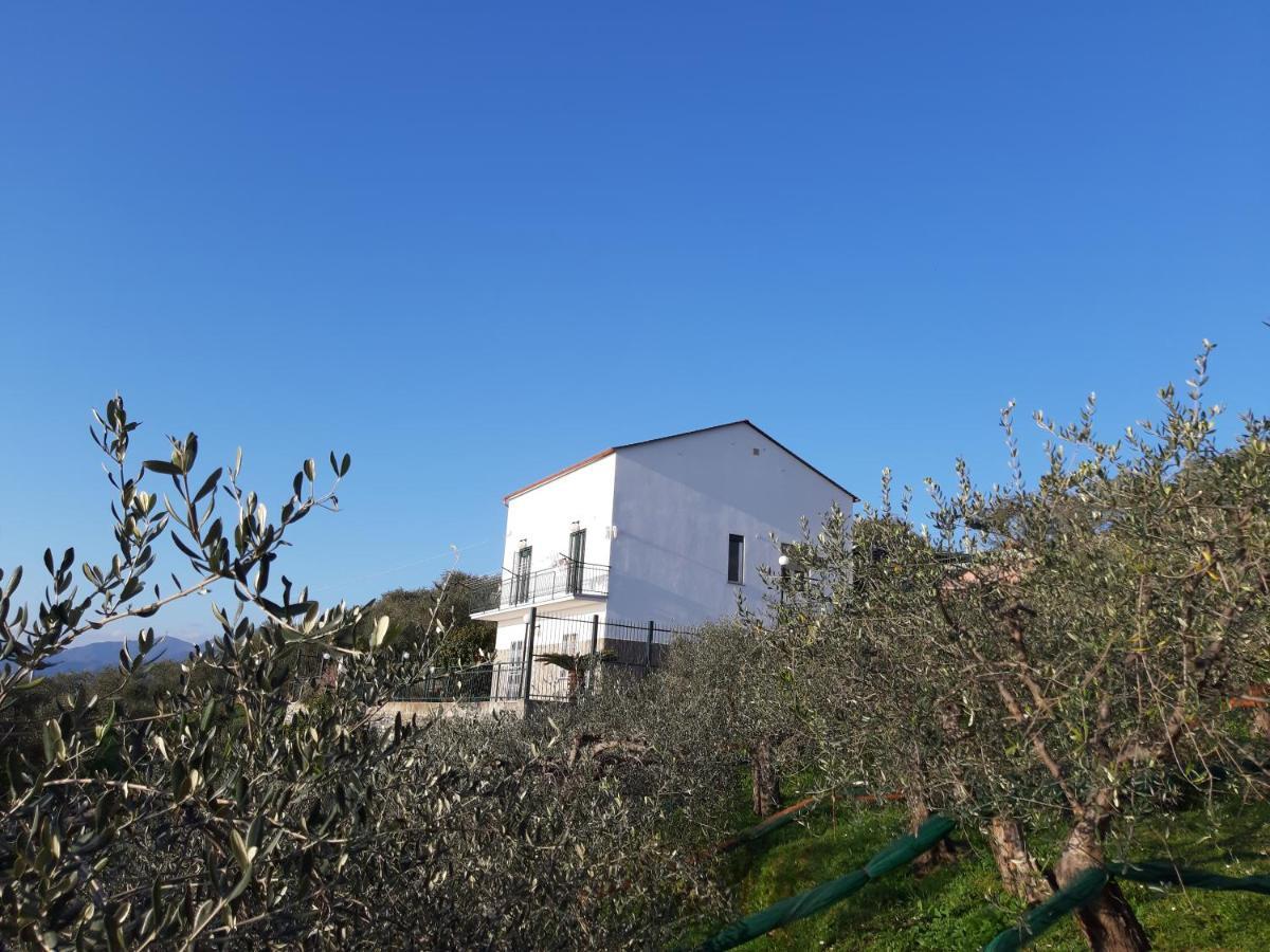 Vila Sarina House Ocean View Lavagna Exteriér fotografie